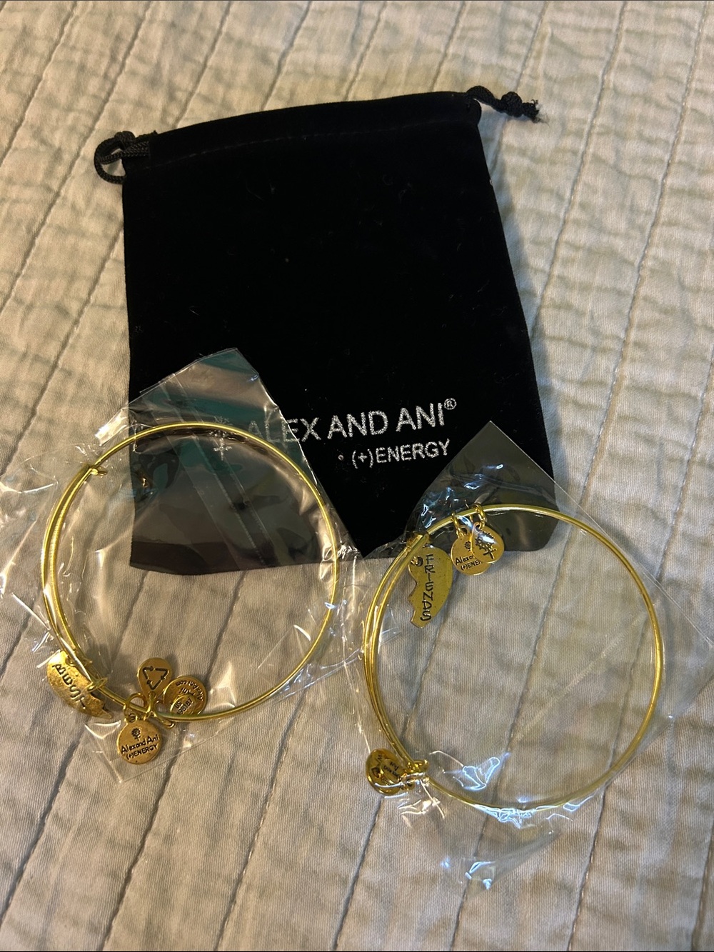 Alex and Ani Gold Best Friends Bangle- Set of 2